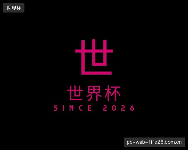 解读世界杯团队